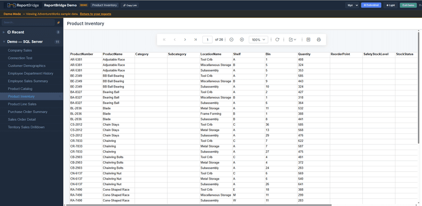 Viewer — Paginated Report